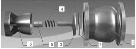 The structure of a nozzle check valve
