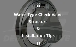 Wafer Type Check Valve Structure & Installation Tips