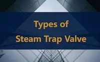 Types of Steam Trap Valves