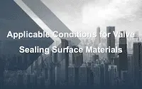 Applicable Conditions for Valve Sealing Surface Materials