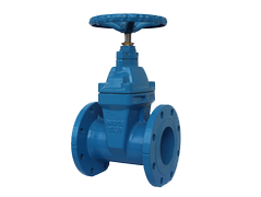 gate valve