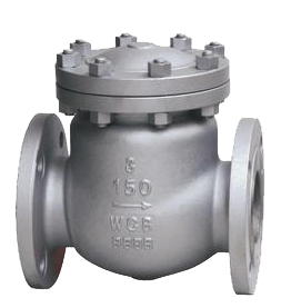 Swing Check Valve