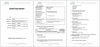 Inspection Report One
