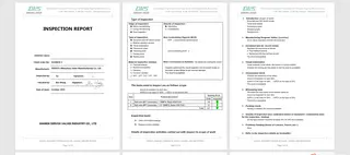 Inspection report