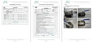 Inspection Report