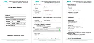 Inspection Report