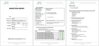 Inspection Report One