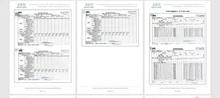 Inspection report
