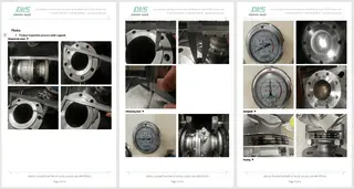 Inspection Report Six
