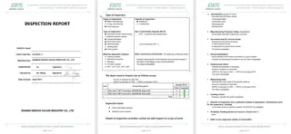 Inspection Report