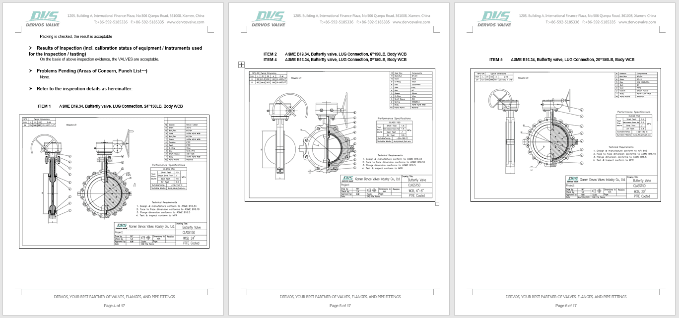 Fluorine Lined Ball Valve Inspection Report 