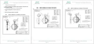 Fluorine Lined Ball Valve Inspection Report 
