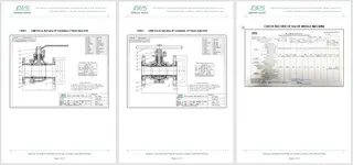 Fluorine Lined Ball Valve Inspection Report 