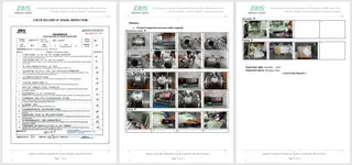 Inspection Report