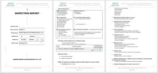 Inspection Report
