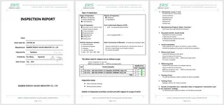 Inspection Report One