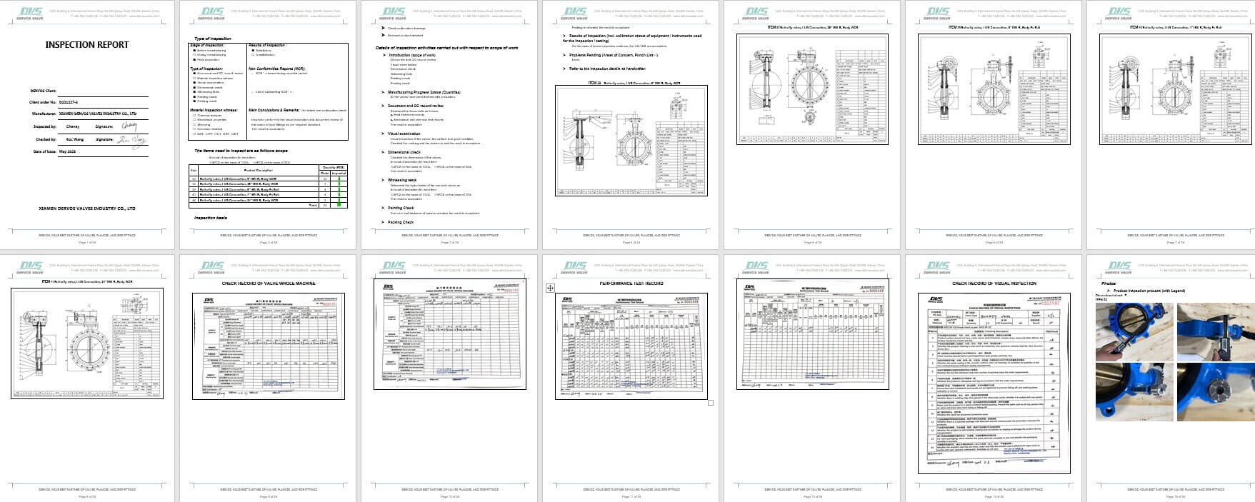Inspection Report