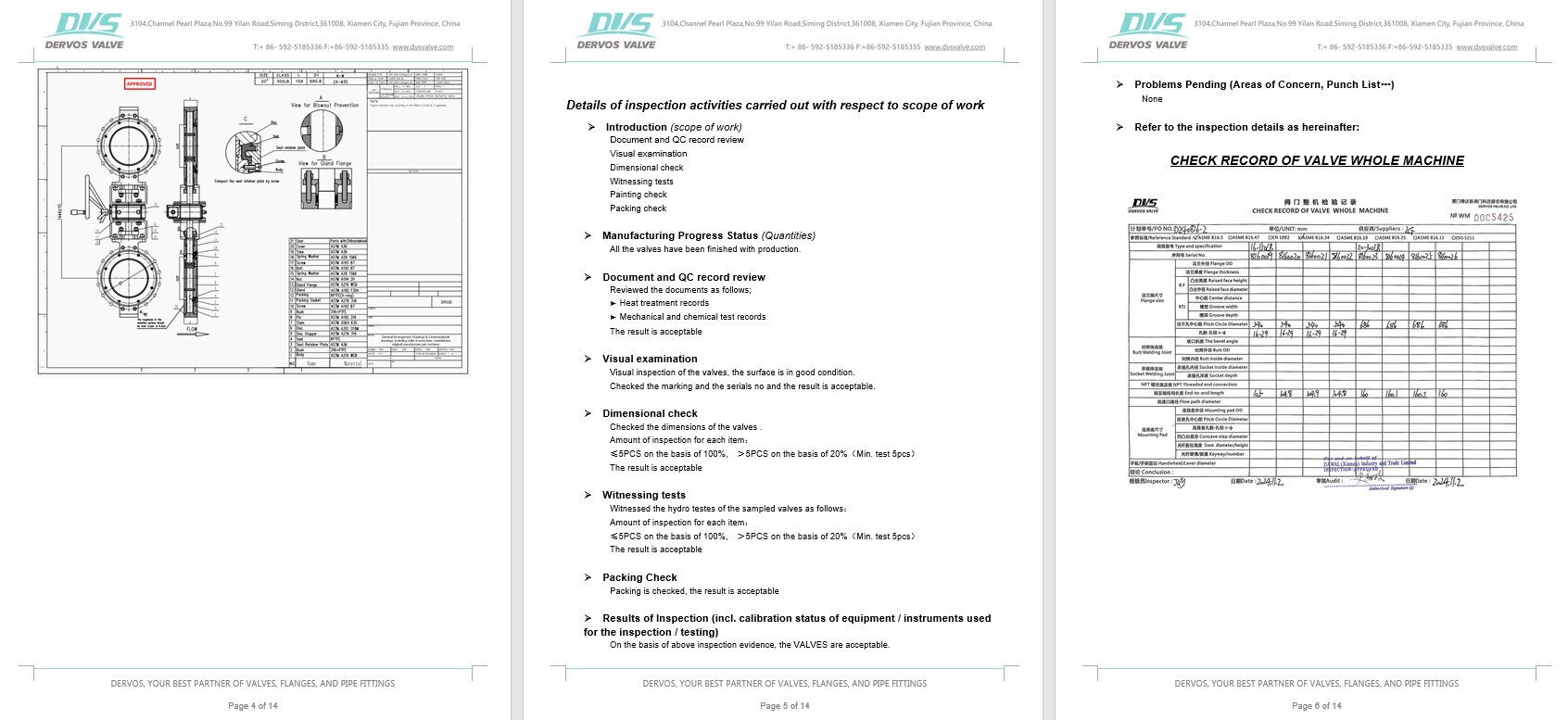 Inspection Report for Butterfly Valve