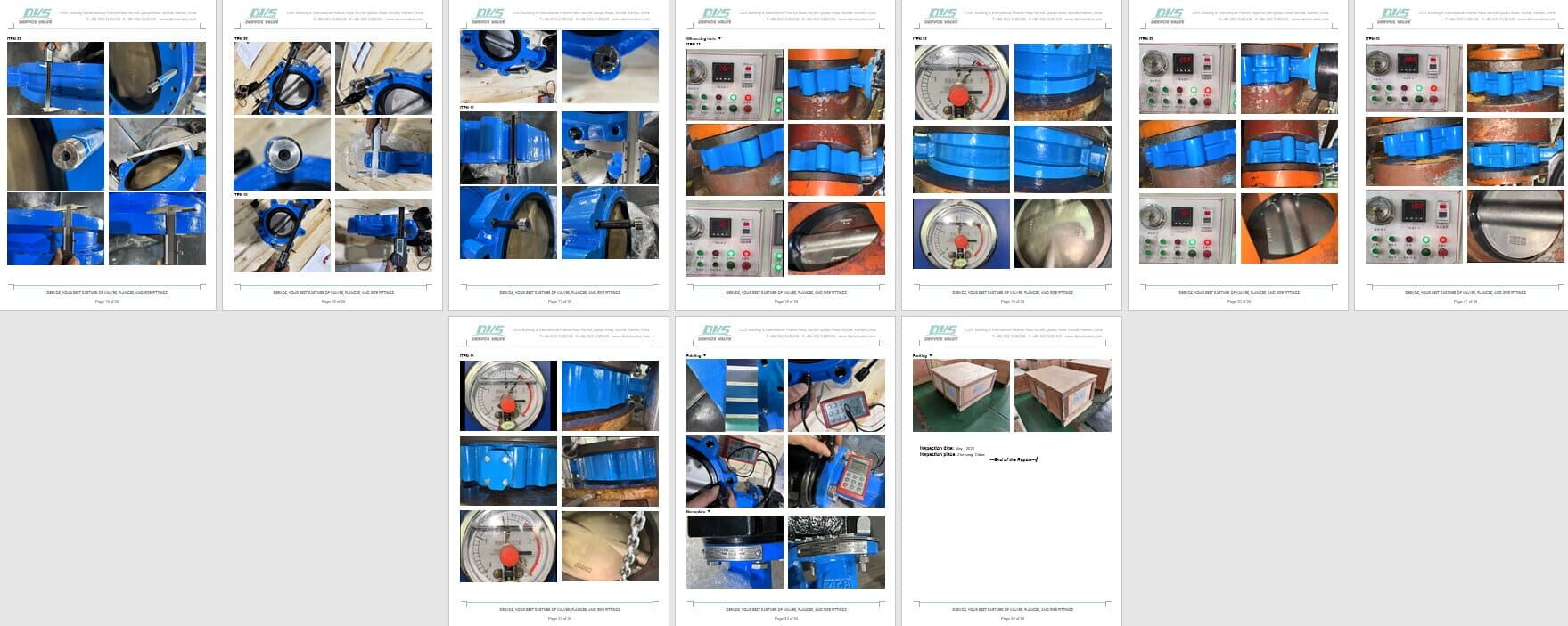 Inspection Report