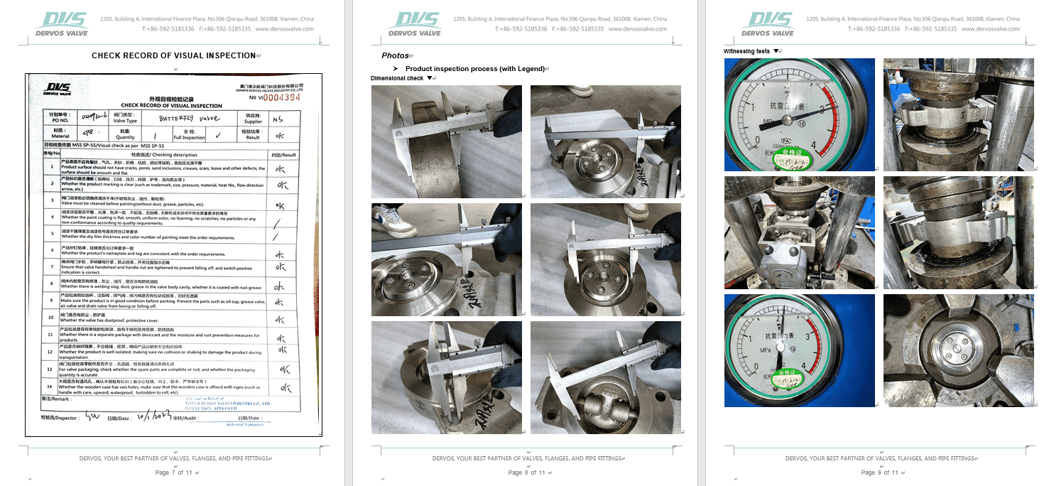 Inspection Report