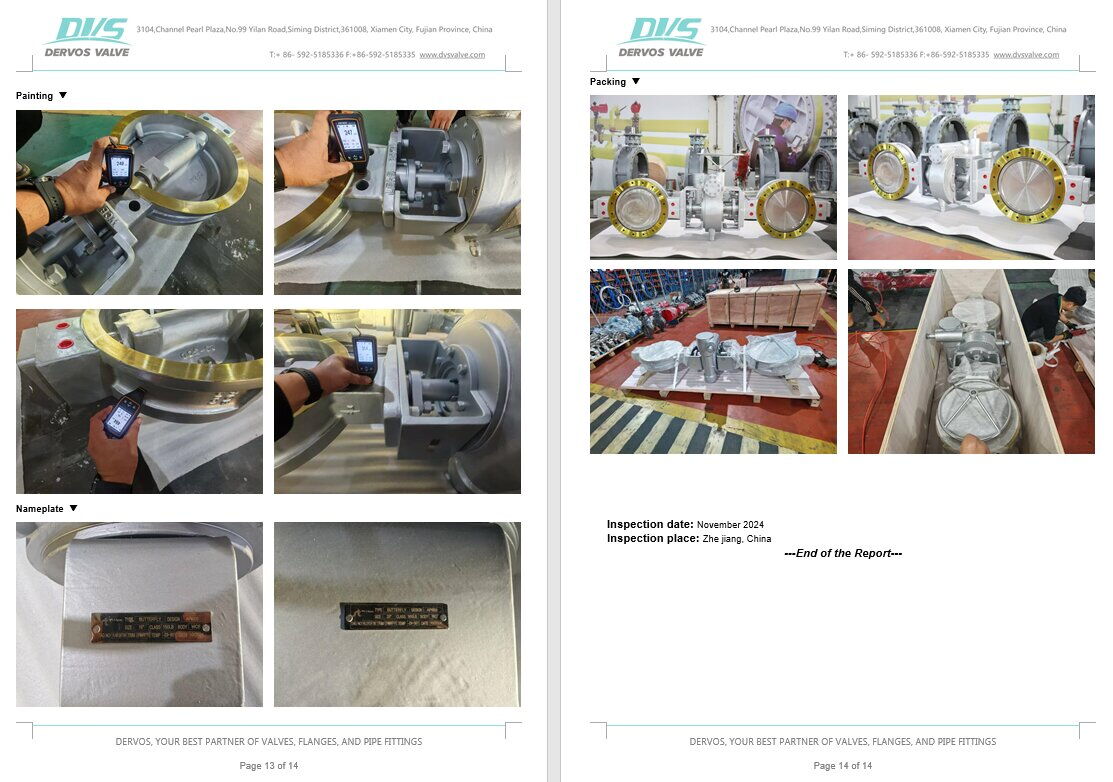 Inspection Report for Butterfly Valve