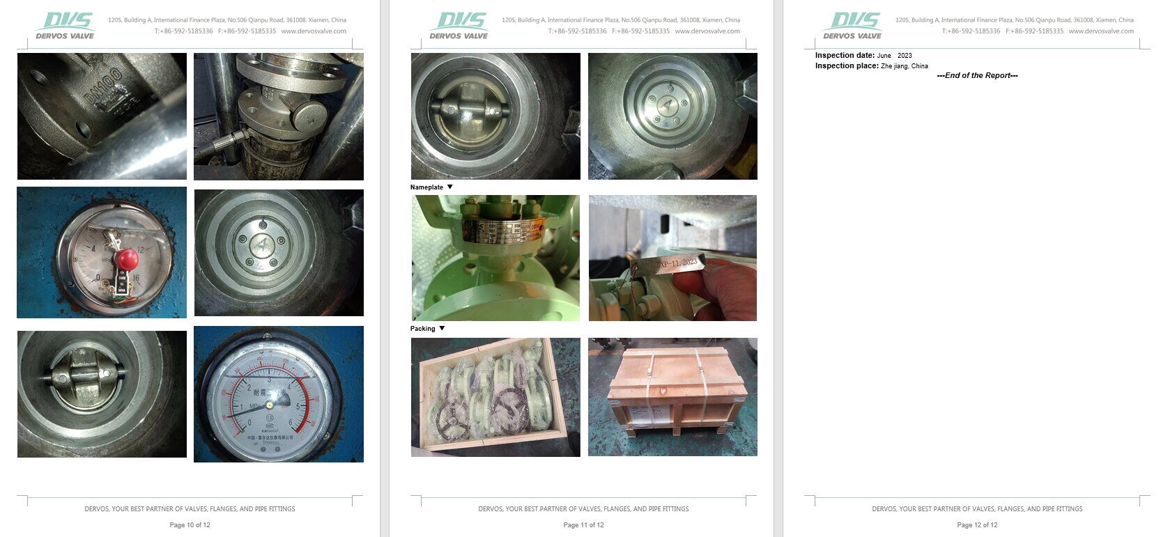 Inspection Report for Butterfly Valve