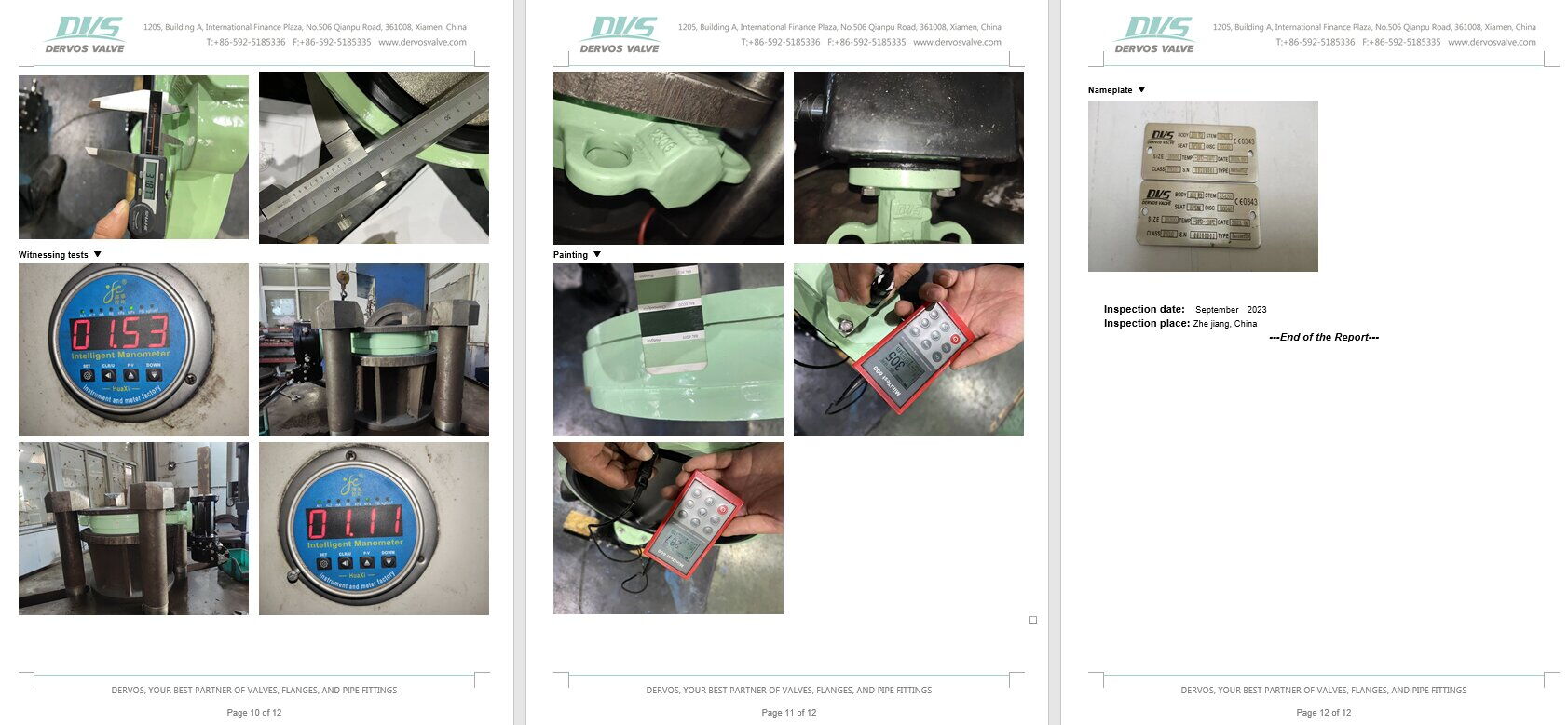 Inspection Report for Butterfly Valve