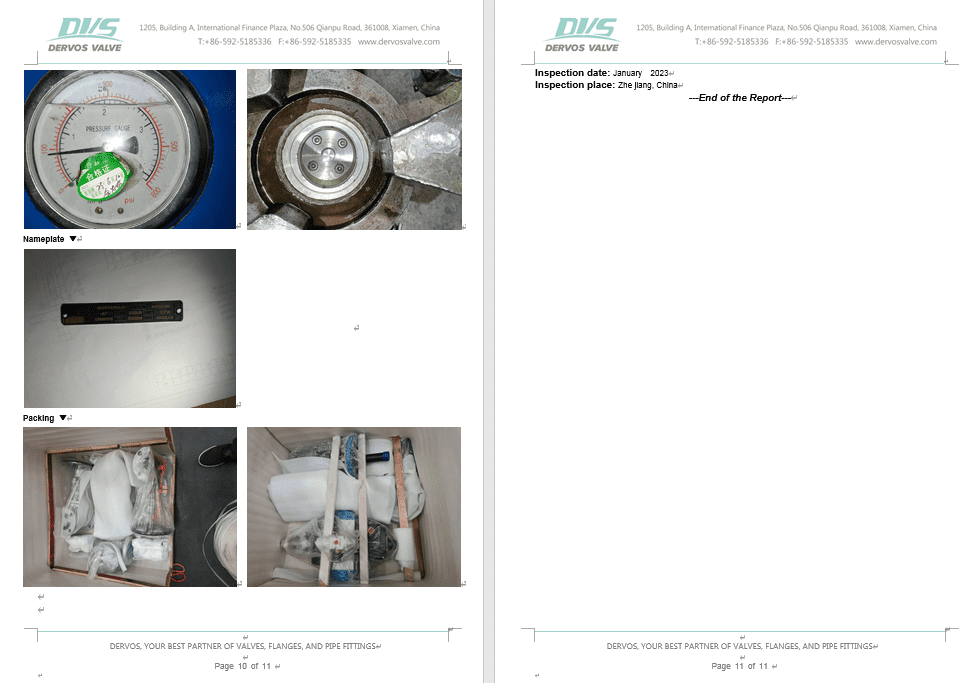 Inspection Report