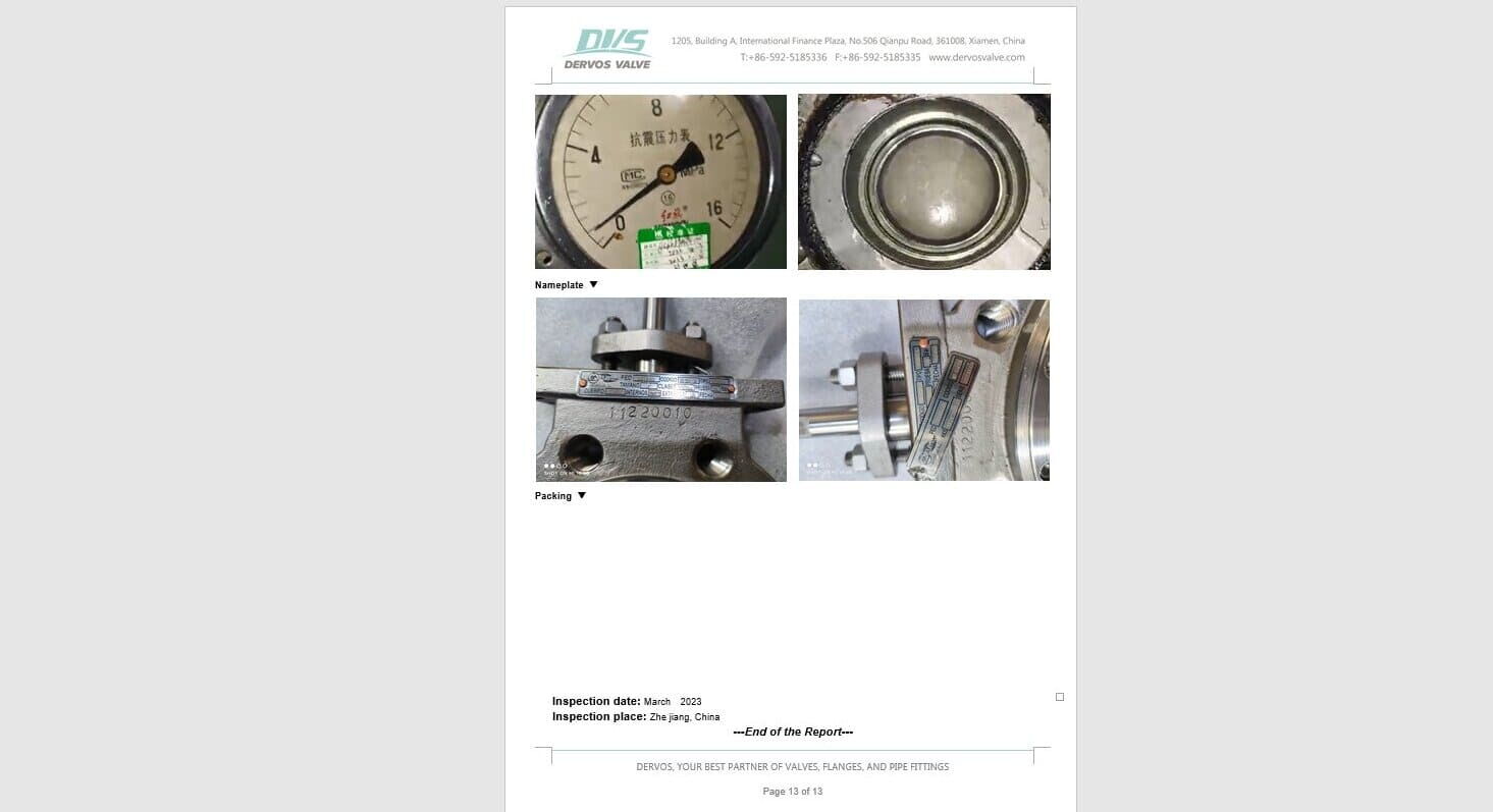Inspection Report