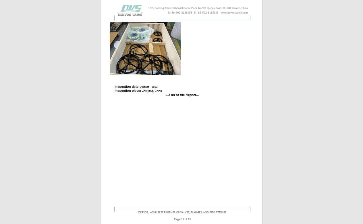 Inspection Report for Butterfly Valve