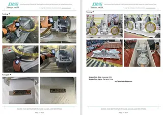 Inspection Report for Butterfly Valve