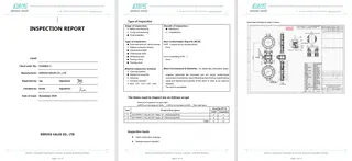 Inspection Report for Butterfly Valve