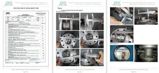 Inspection Report for Butterfly Valve