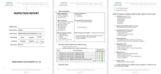Inspection Report