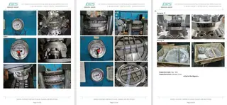 Inspection Report for Butterfly Valve
