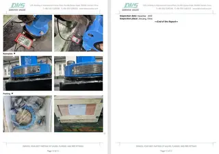 Inspection Report for Concentric Butterfly Valve
