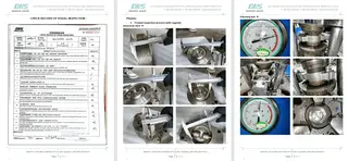 Inspection Report