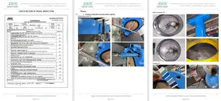 Inspection Report for Concentric Butterfly Valve
