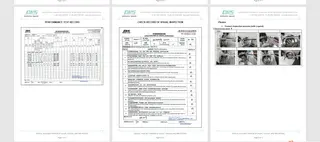 Inspection Report