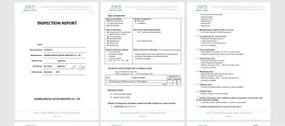 Inspection report