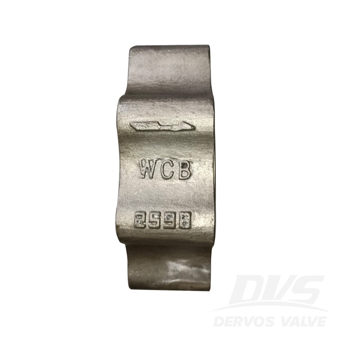 API 594 Dual Plate Lug Check Valve, 4 IN, CL 150, A216 WCB
