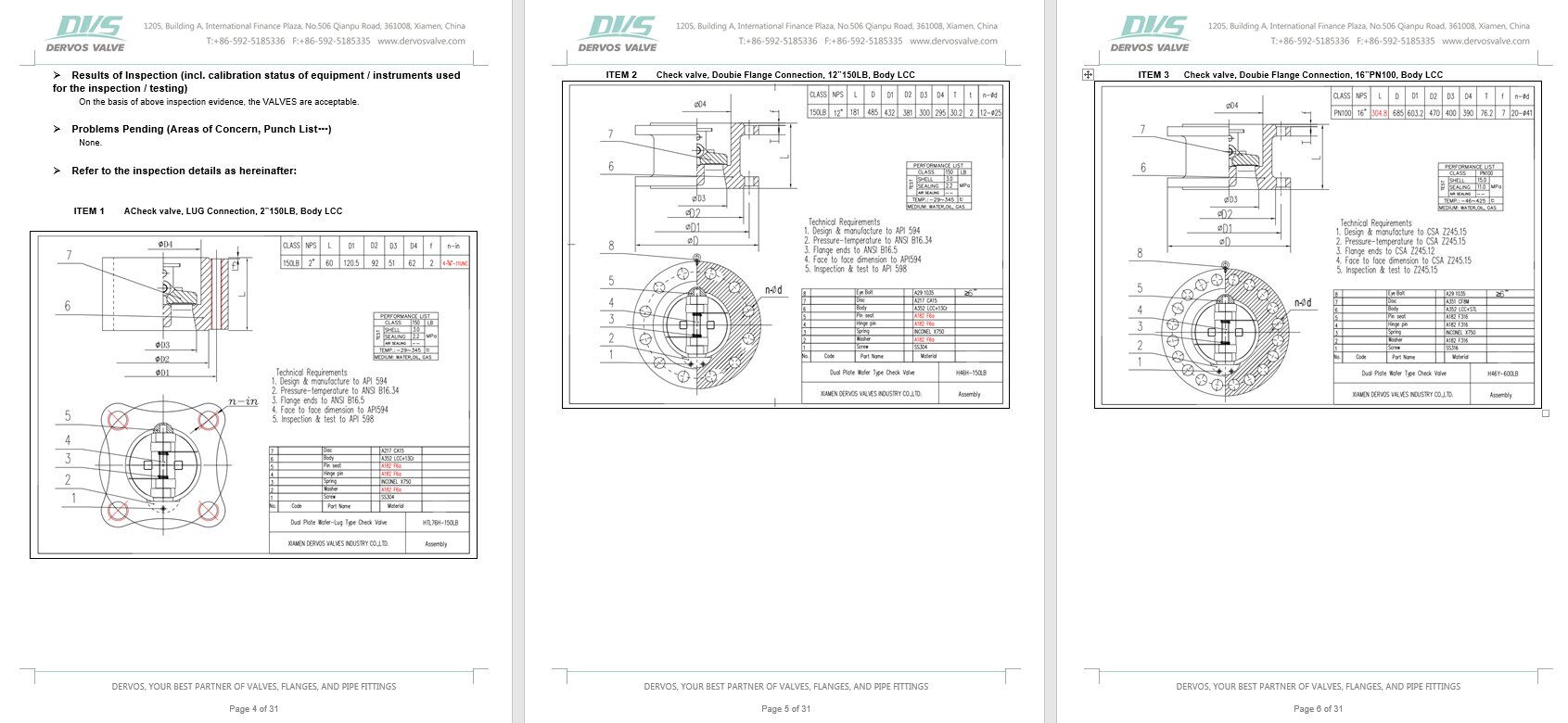 Inspection Report for Check Valve