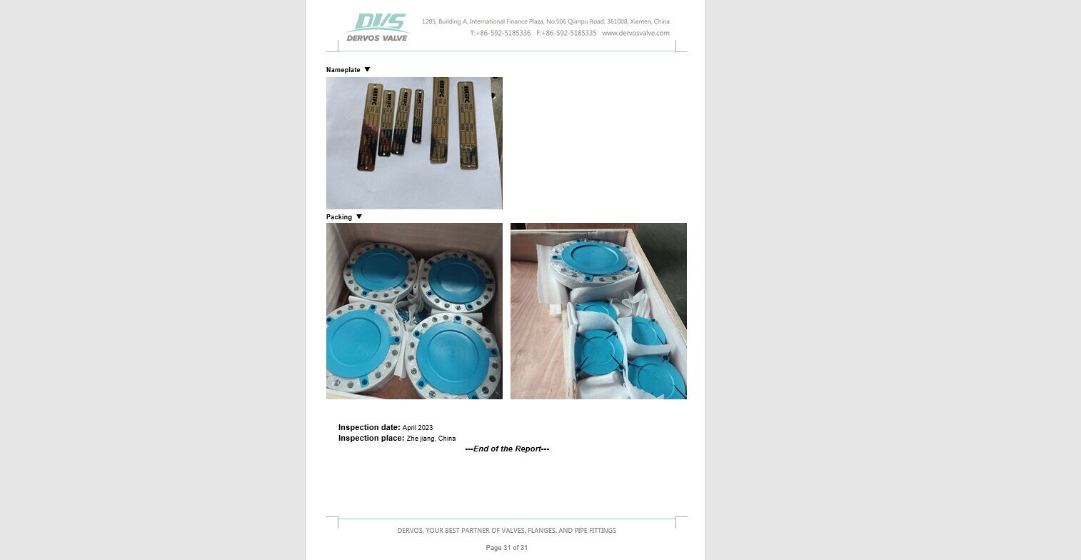 Inspection Report for Check Valve