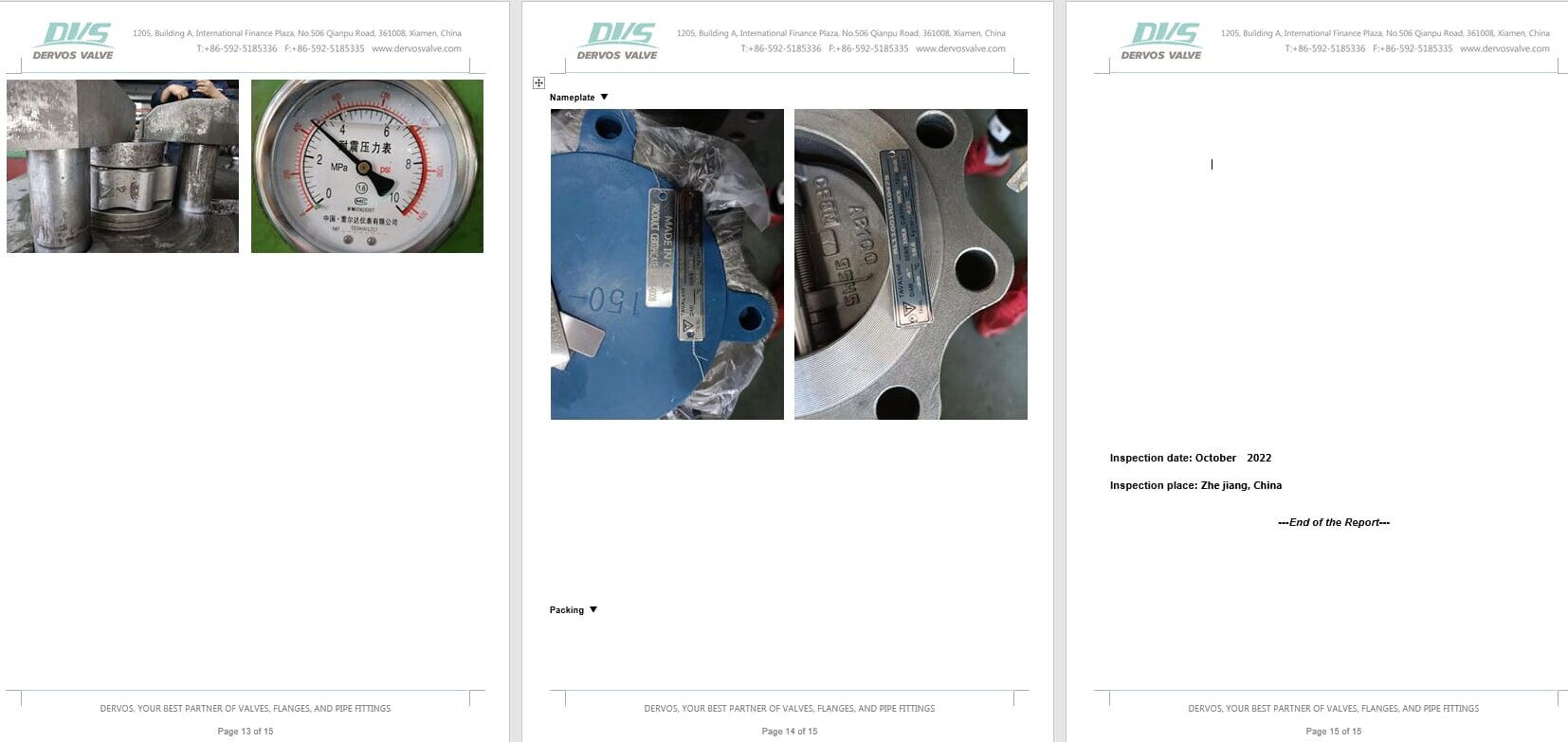 Inspection Report