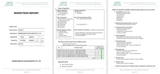 Inspection Report