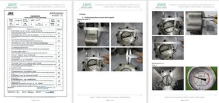 Inspection Report