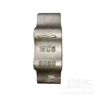 API 594 Dual Plate Lug Check Valve, 4 IN, CL 150, A216 WCB