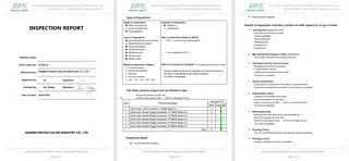 Inspection Report for Wafer Check Valve