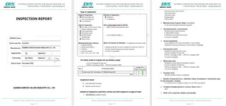 Inspection Report