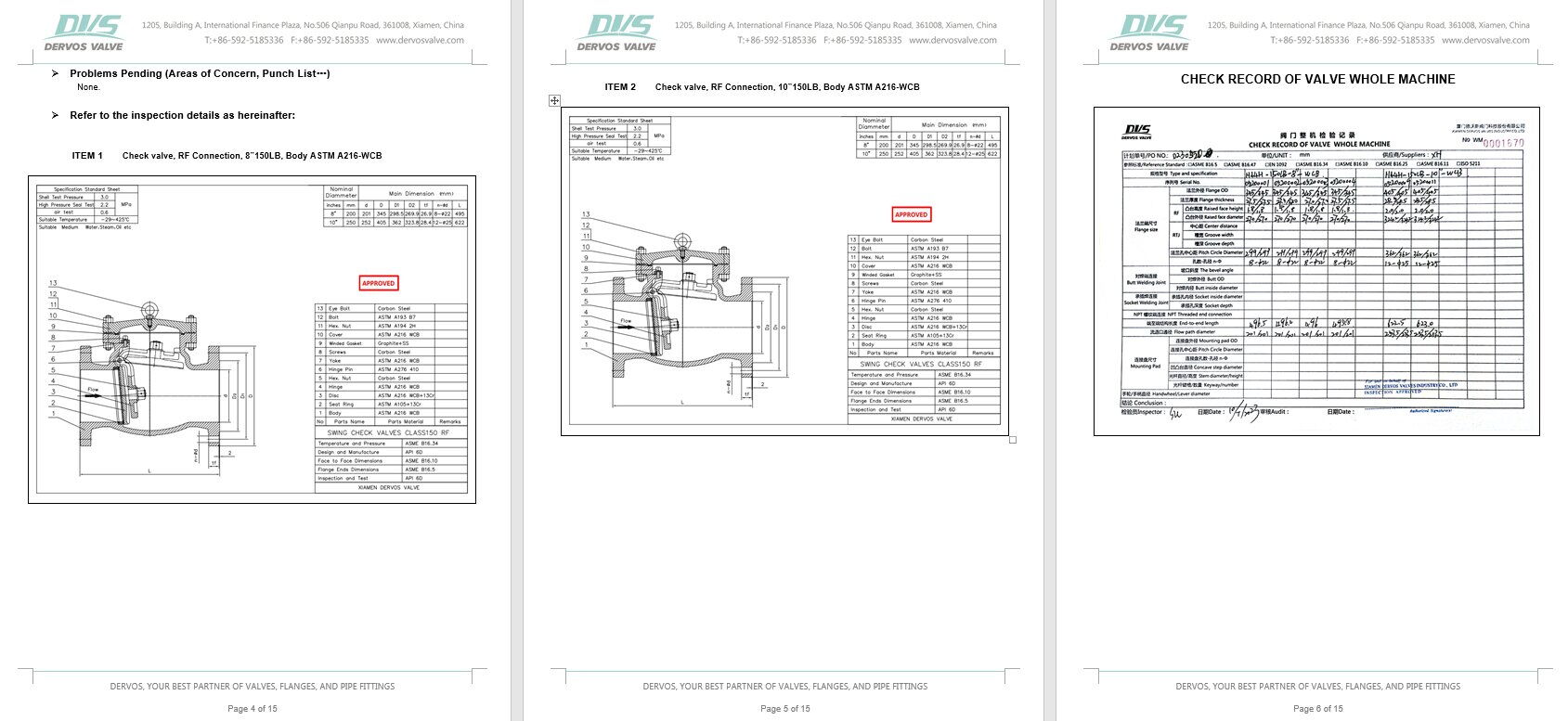 Inspection Report for Swing Check Valve